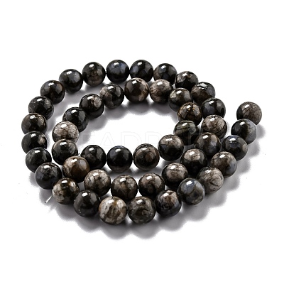 Natural Glaucophane Beads Strands G-O199-01C-1