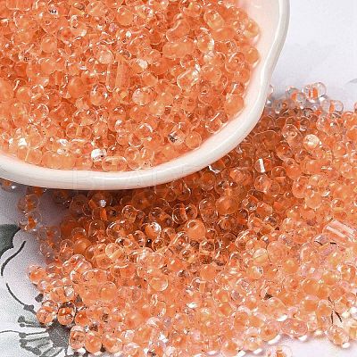 Glass Seed Beads SEED-K009-08B-02-1