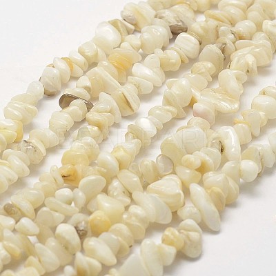 Natural Shell Beads Strands G-F328-45-1