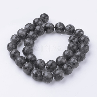 Natural Black Larvikite Bead Strands G-G735-57-12mm-1
