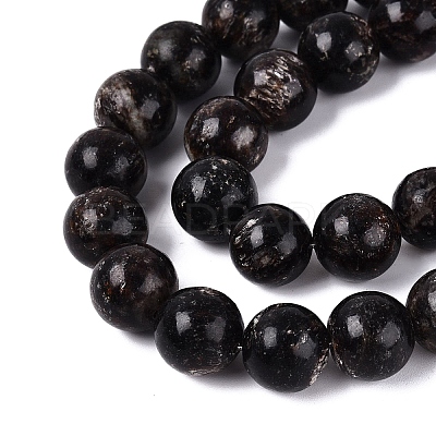 Natural Biotite Beads Strands G-Q616-01E-1