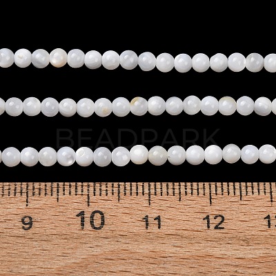 Natural Freshwater Shell Beads Strands SH-CBA2978-07D-01-1
