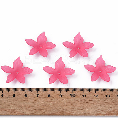 Transparent Acrylic Beads MACR-S373-127-D-1