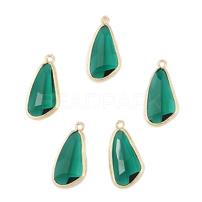 5Pcs Glass Pendants GLAA-YW0004-78E-1