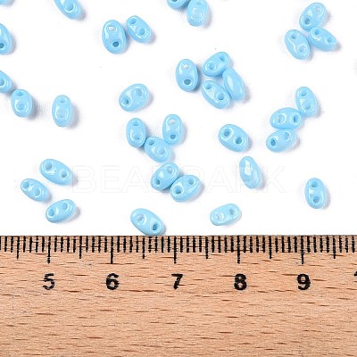 Baking Paint Glass Seed Beads SEED-T006-03I-1
