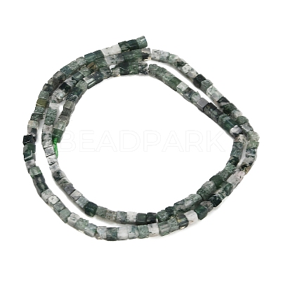 Natural Moss Agate Beads Strands GG-CBA2498-A04-01-1