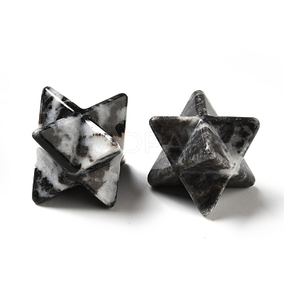 Natural Zebra Jasper Beads G-A206-01A-24-1