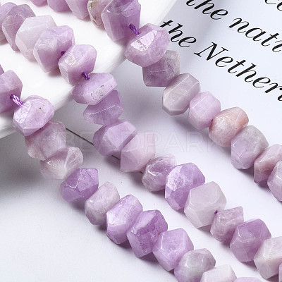 Natural Kunzite Beads Strands G-S376-008-1