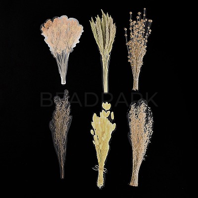 6Pcs Plant PET Adhesive Waterproof Stickers DIY-K074-01C-1
