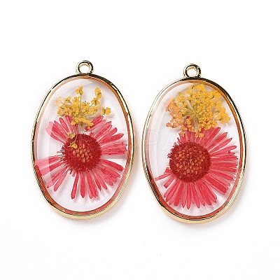 Transparent Clear Epoxy Resin Pendants RESI-L036-01G-1
