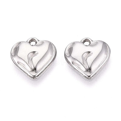 304 Stainless Steel Charms STAS-T065-24B-P-1
