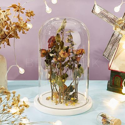 Glass Dome Cover AJEW-WH0001-95B-1