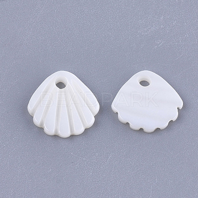 Freshwater Shell Charms SHEL-T012-62-1