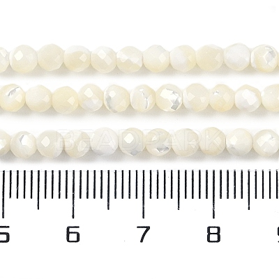 Natural Shell Beads Strands SSHEL-E571-38B-4mm-1