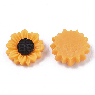 Resin Cabochons CRES-T010-57A-1