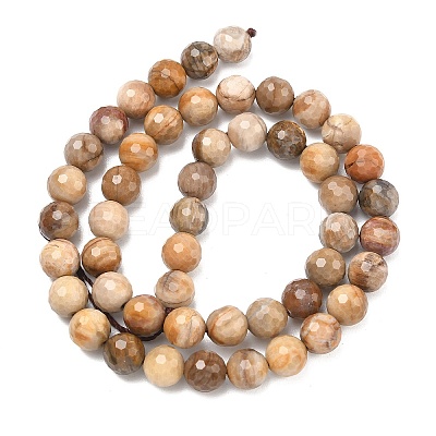 Natural Petrified Wood Beads Strands G-L642-F09-8mm-1