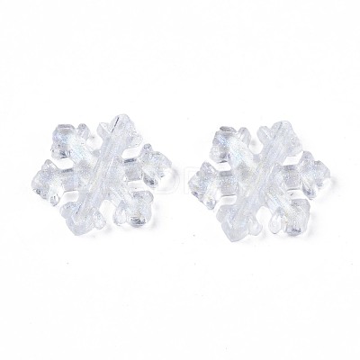 Transparent Acrylic Beads OACR-N008-101-1