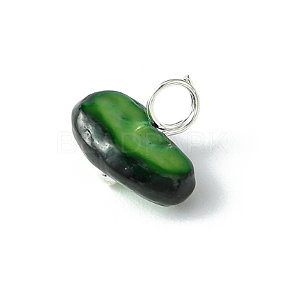 Natural Chip Dyed Shell Charms PALLOY-JF01338-02-1