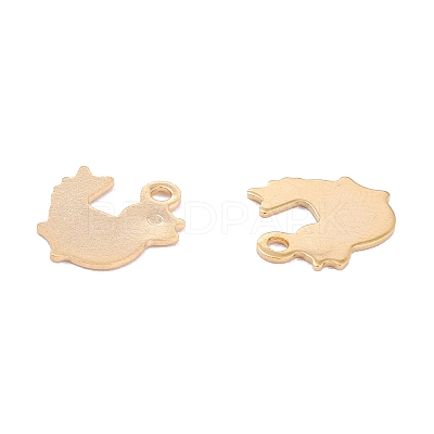 201 Stainless Steel Charms STAS-B001-41G-1
