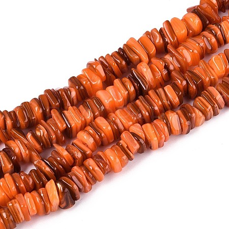 Natural Freshwater Shell Beads Strands SHEL-N037-01B-1