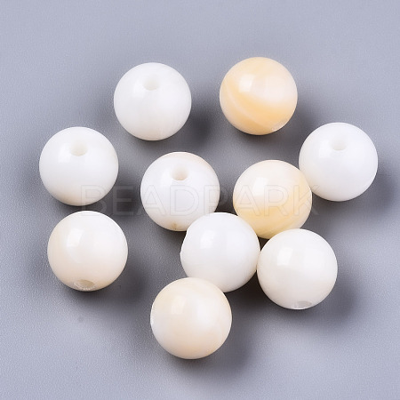 Natural Freshwater Shell Beads SHEL-S266-15C-1