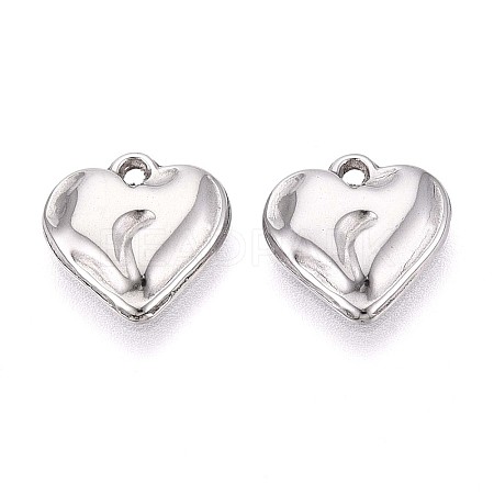 304 Stainless Steel Charms STAS-T065-24B-P-1