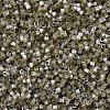 MIYUKI Delica Beads SEED-MY11-DB1876-3