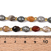 Natural Picture Jasper Beads Strands G-N342-53-8x6-09-5