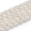 Natural Cultured Freshwater Pearl Beads Strands X-PEAR-L001-02-5