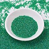 MIYUKI Delica Beads SEED-MY11-DB0858-2