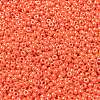 MIYUKI Round Rocailles Beads SEED-X0055-RR0424-3