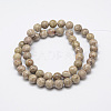 Natural Fossil Coral Beads Strands G-G735-52-8mm-2