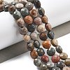 Natural Ocean Jasper Beads Strands G-C179-A09-02-1