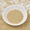 MIYUKI Delica Beads X-SEED-J020-DB1571-2