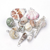 Sea Shell Pendants SSHEL-Q300-004-1