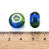 Resin European Beads RPDL-S013-08D-3