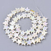 Freshwater Shell Beads Strands SHEL-N026-07A-2