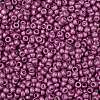 TOHO 8/0 Round Beads X-SEED-TR08-0563F-2
