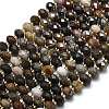 Natural Petrified Wood Beads Strands G-P573-A32-01-2