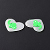 Acrylic Pendants FIND-A022-02F-4