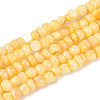 Natural Freshwater Shell Dyed Beads Strands SHEL-T020-29A-08-1