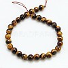 Natural Tiger Eye Beads Strands G-C076-14mm-1B-2