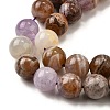 Natural Amethyst Lace Agate Beads Strands G-H312-C01-12mm-4