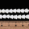 Natural Freshwater Shell Beads Strands SHEL-N027-02-01-4