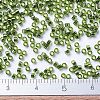 MIYUKI Delica Beads SEED-X0054-DB1207-4