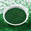 MIYUKI Round Rocailles Beads SEED-G009-RR0146-2