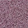 MIYUKI Delica Beads X-SEED-J020-DB1434-3