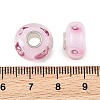Lampwork & Brass Core European Beads LAMP-P019-01P-18-3