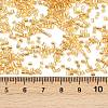 FGB Grade A Glass Seed Beads SEED-R007-FH32-3