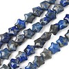 Natural Lapis Lazuli Star Beads Strands G-Z080-A05-2